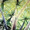 Palms Martinique in Caribbean